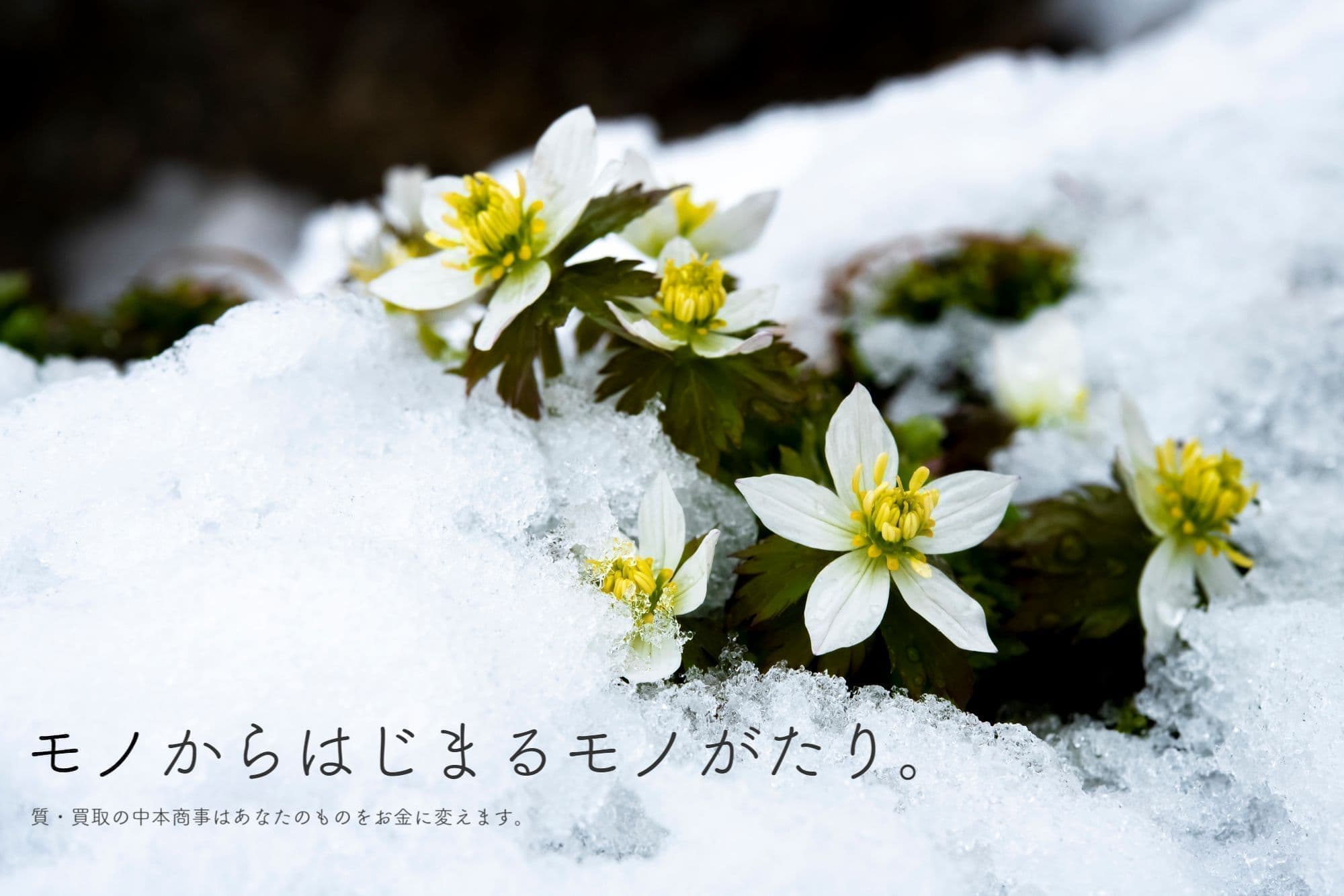 モノからはじまるモノがたり