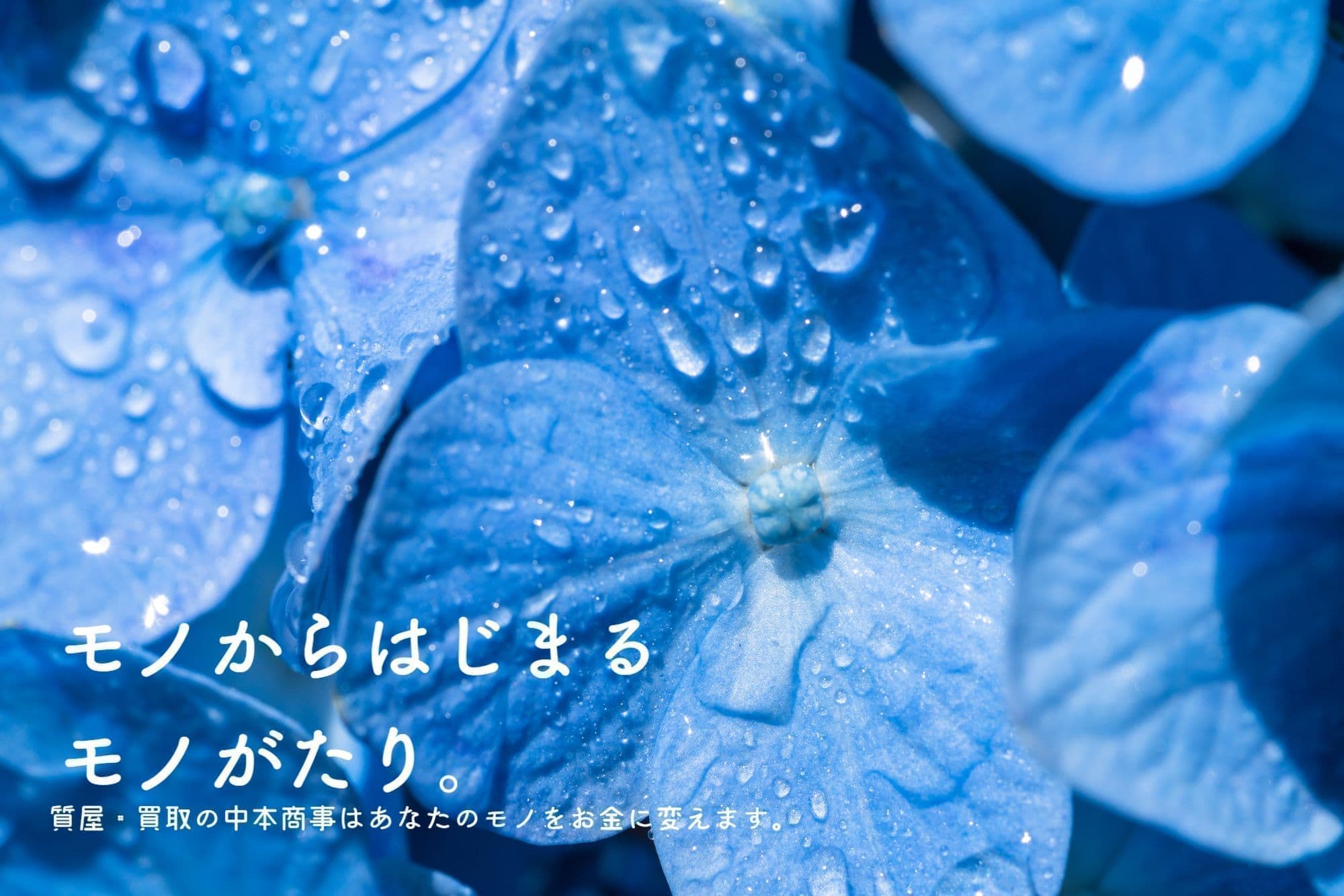 モノからはじまるモノがたり あじさい
